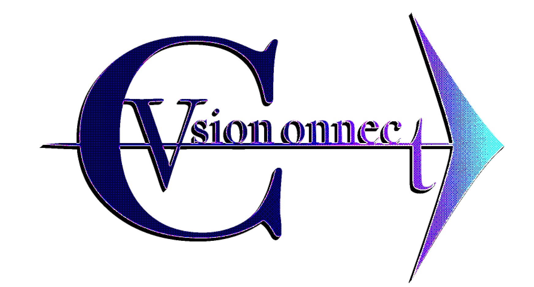 合同会社 Vision Connect